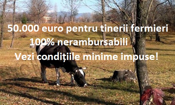 50.000 de euro nerambursabili pentru tinerii fermieri 2017