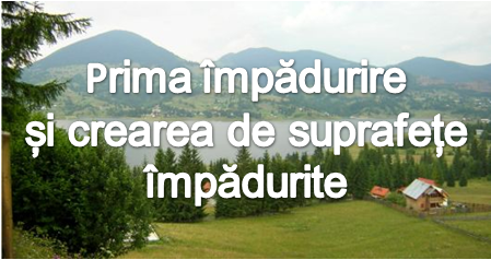Programul “prima împădurire și crearea de suprafețe împădurite” deschis până la 31 martie 2017
